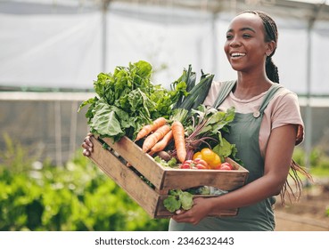 A relevant stock photo of plant supplier in a typical setting.