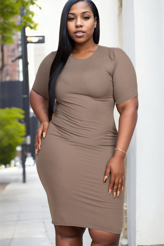 A relevant stock photo of plus size clothes supplier in a typical setting.