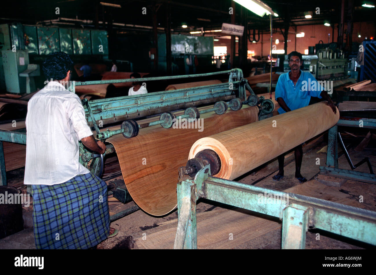 A relevant stock photo of plywood manufacturer in a typical setting.