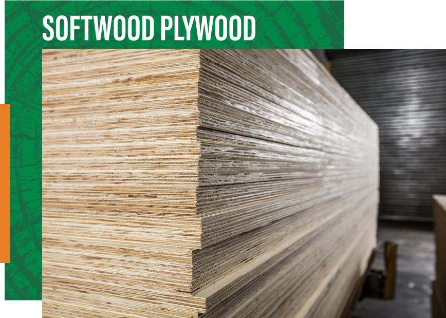 A relevant stock photo of plywood supplier in a typical setting.