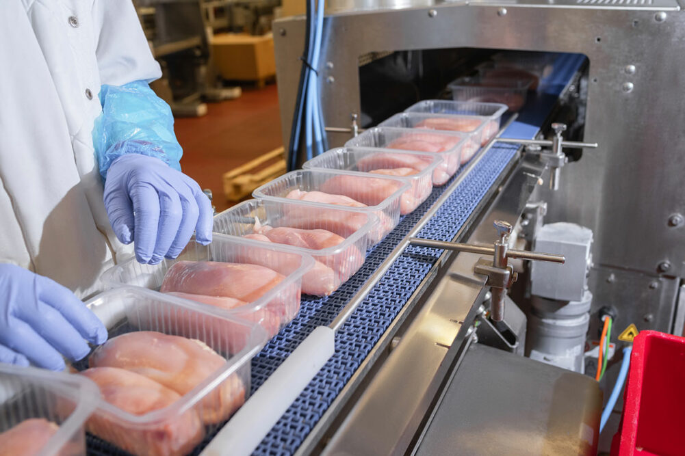 A relevant stock photo of poultry manufacturer in a typical setting.
