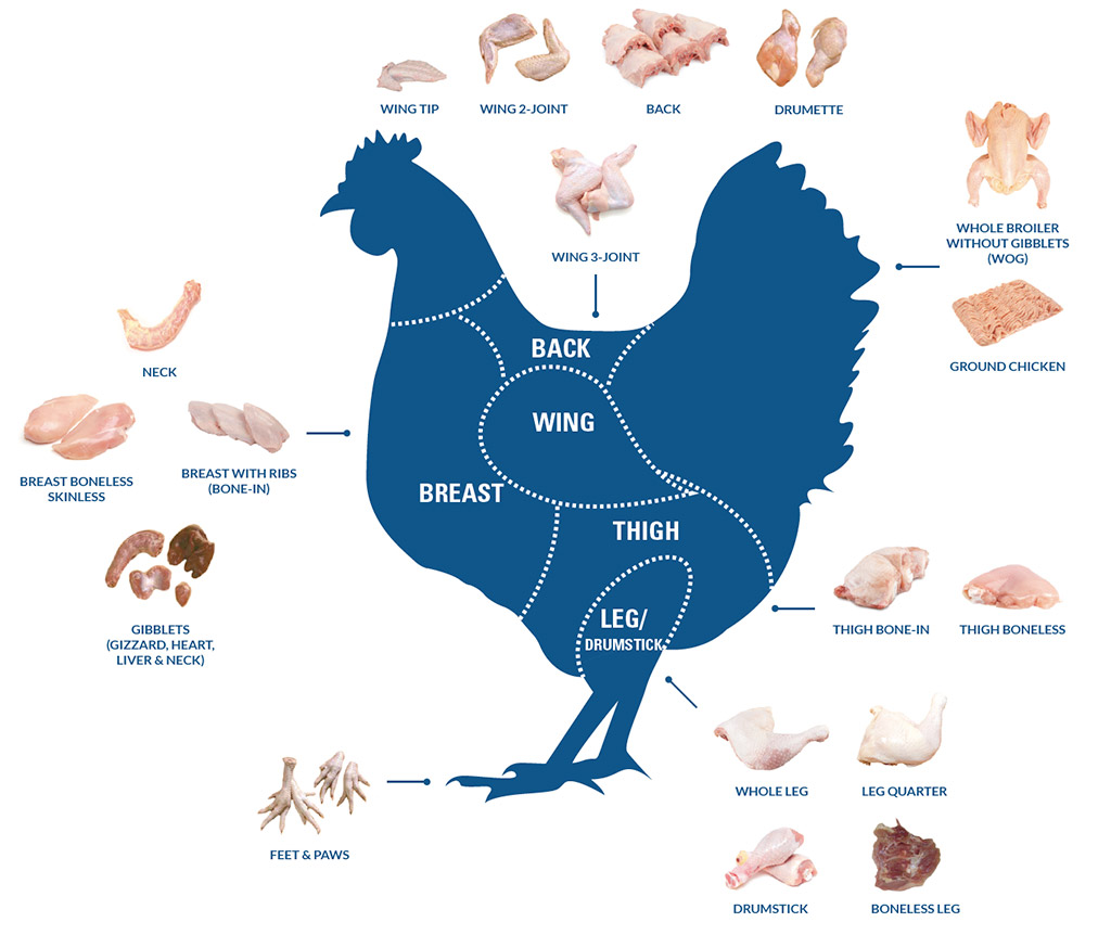A relevant stock photo of poultry supplier in a typical setting.