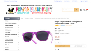 Purple Sunglasses Bulk | Vintage Adult Sunglasses 12 PACK 1055D - vintage sunglasses bulk