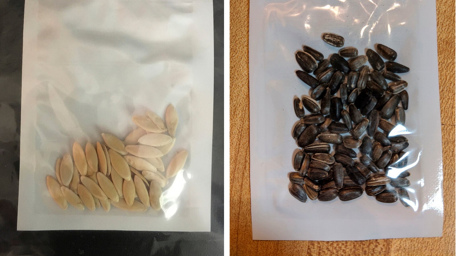 A relevant stock photo of seeds china in a typical setting.