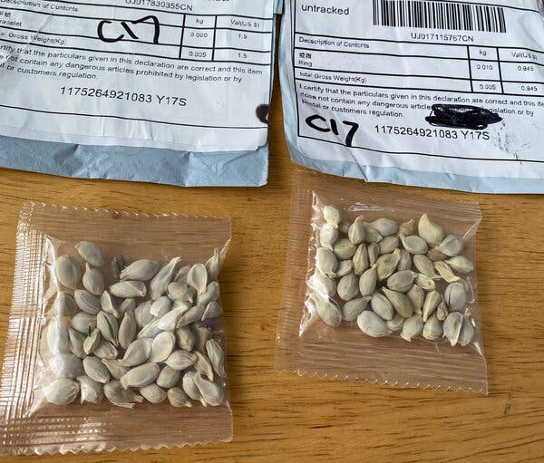 A relevant stock photo of seeds china in a typical setting.