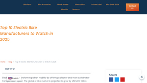 Top 10 Electric Bike Manufacturers to Watch in 2025 - electric bike manufacturer