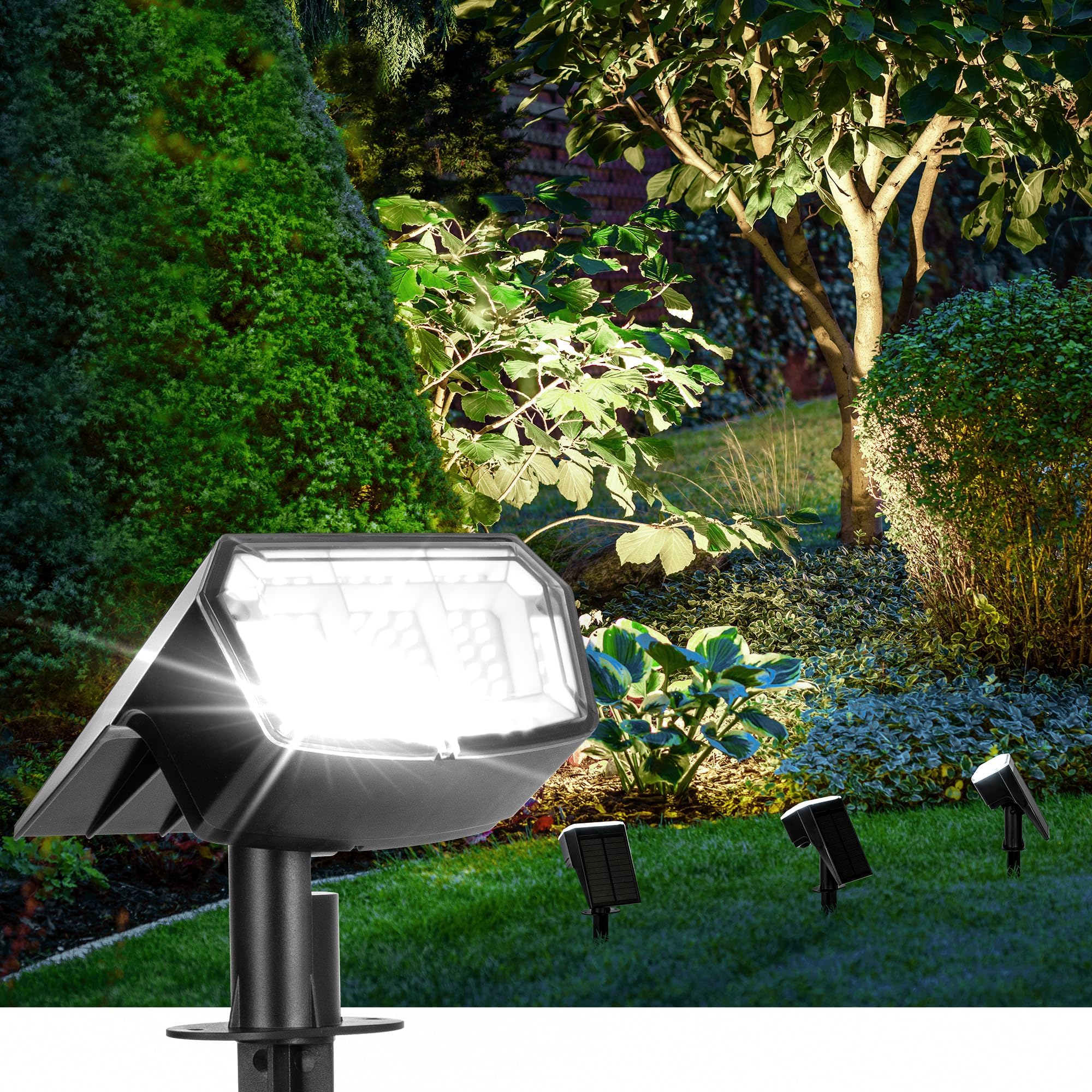 A relevant stock photo of solar garden light manufacturer in a typical setting.