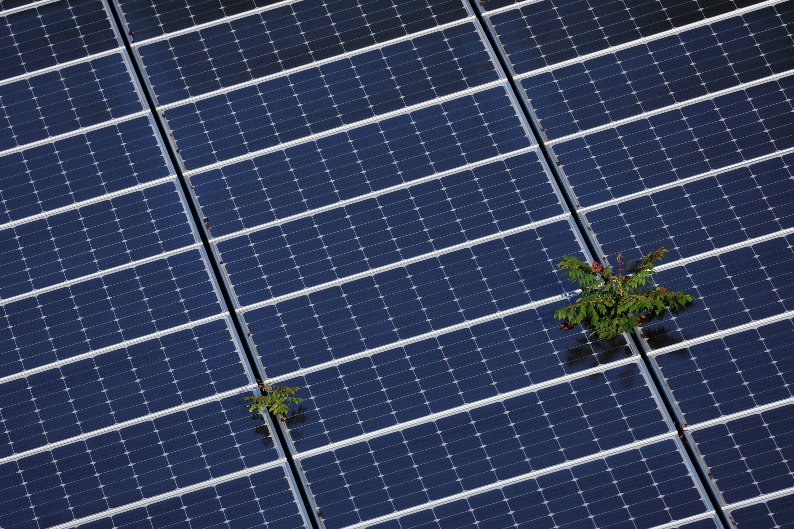 A relevant stock photo of solar module china in a typical setting.
