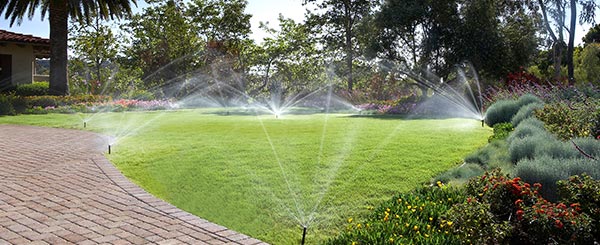 A relevant stock photo of sprinkler supplier in a typical setting.