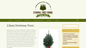 2 ft Christmas Trees - small artificial christmas trees bulk
