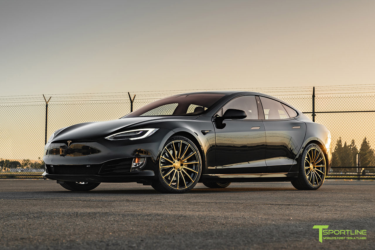 A relevant stock photo of tesla s custom in a typical setting.