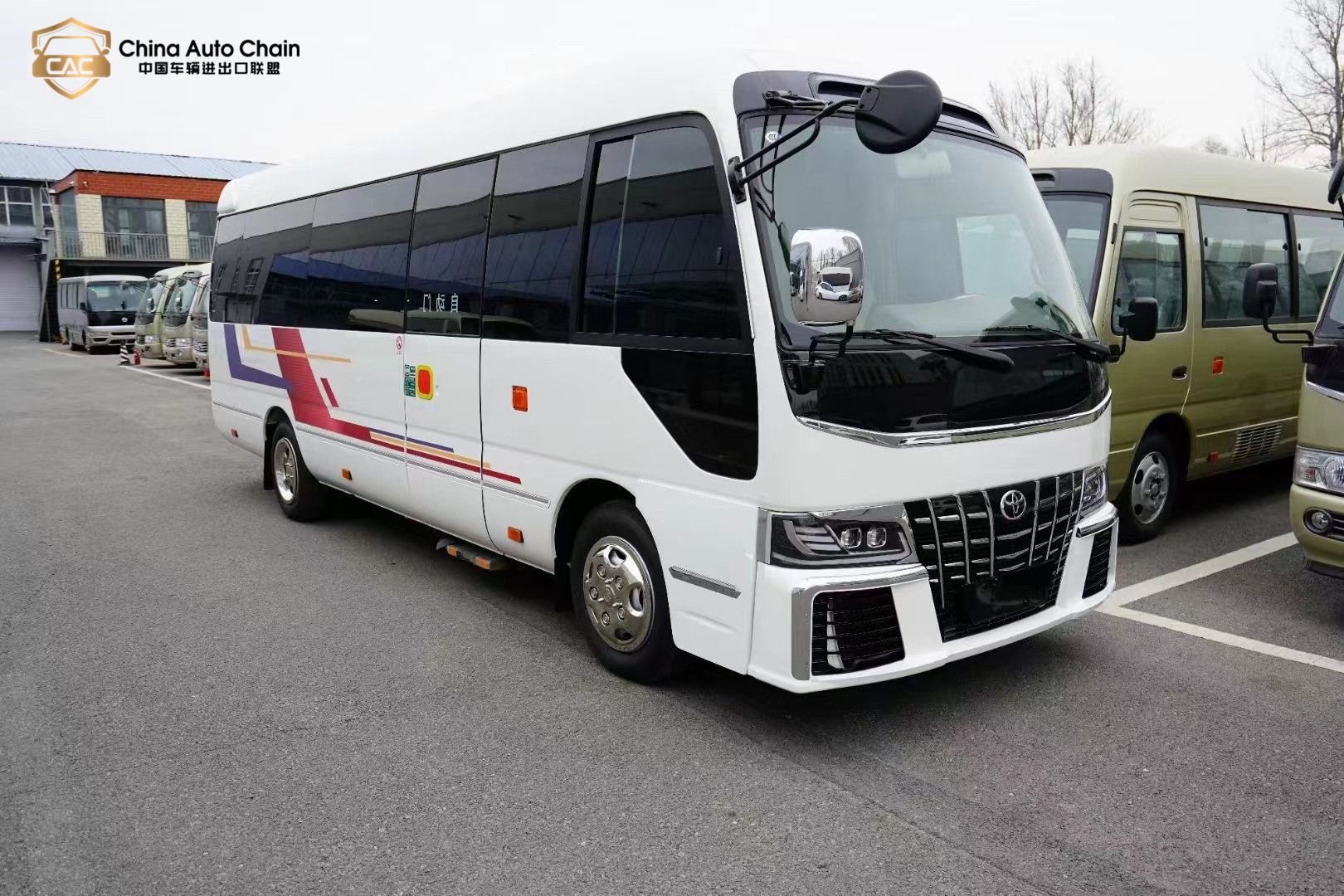 A relevant stock photo of toyota coaster custom in a typical setting.