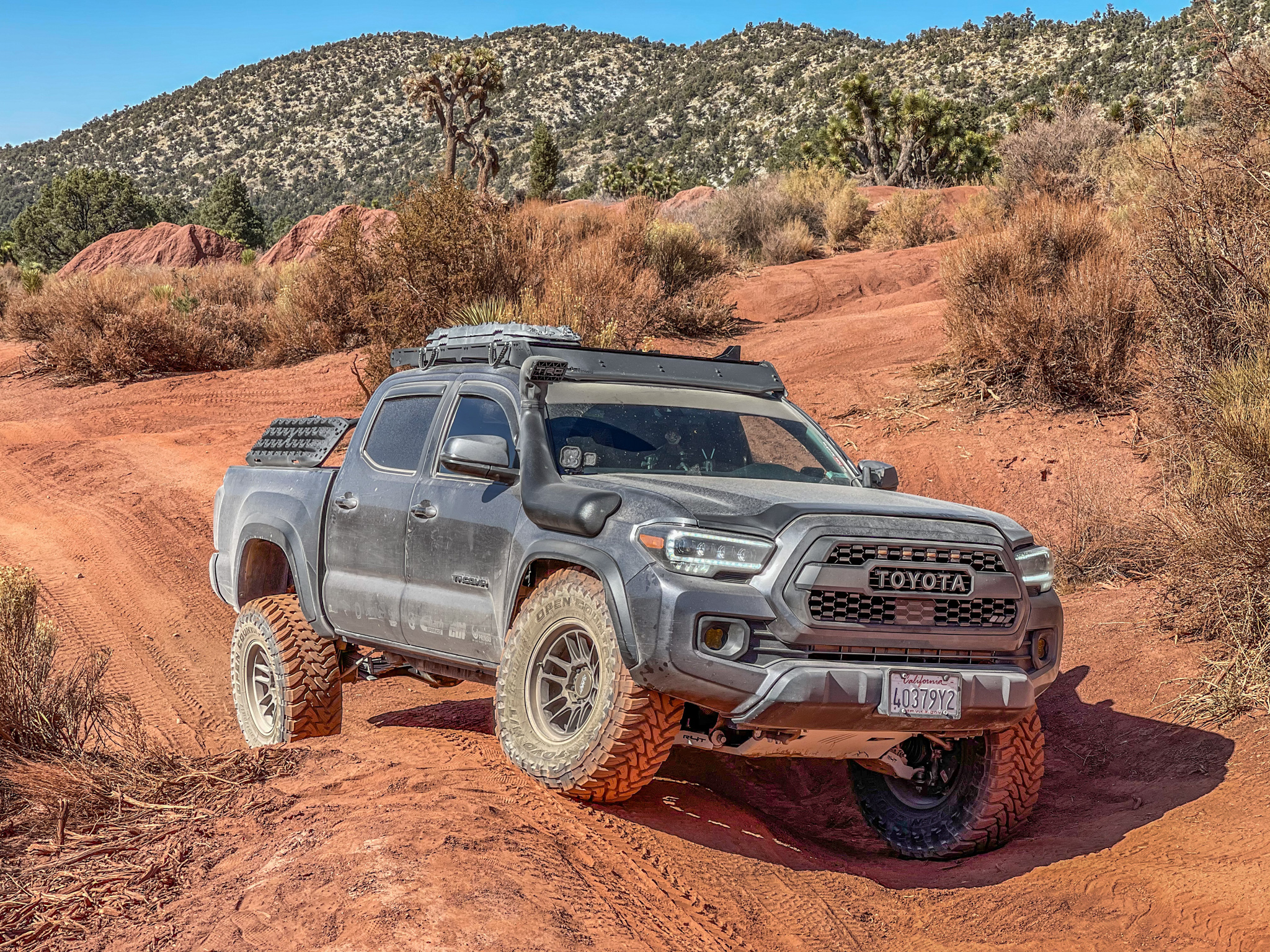 A relevant stock photo of toyota tacoma 4x4 custom in a typical setting.