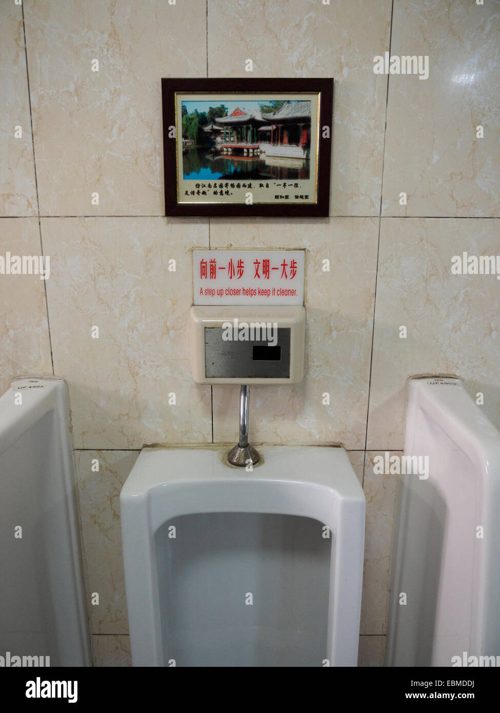 A relevant stock photo of urinal china in a typical setting.