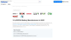 13 LIFEPO4 Battery Manufacturers in 2025 - Metoree - lithium phosphate battery factory