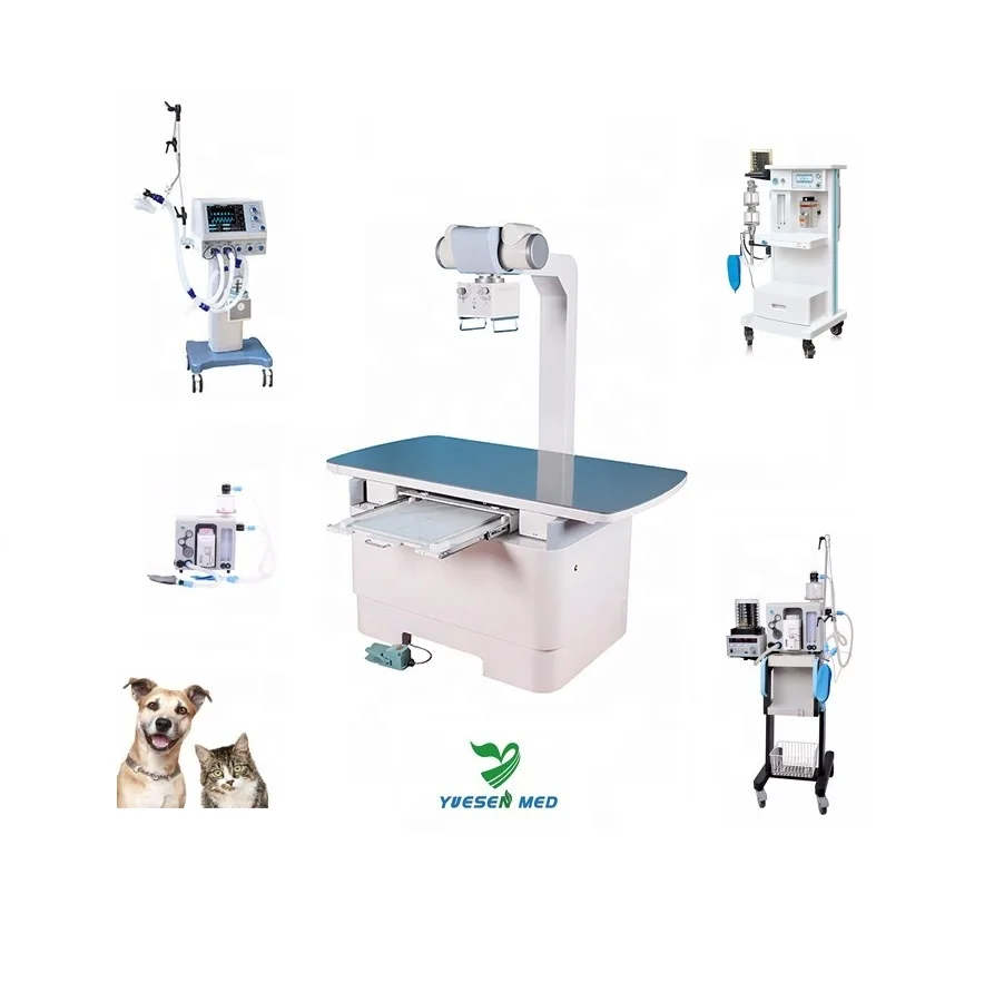 A relevant stock photo of veterinary medical supplier in a typical setting.