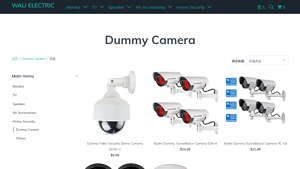 Dummy Camera - WALI ELECTRIC - dummy camera company