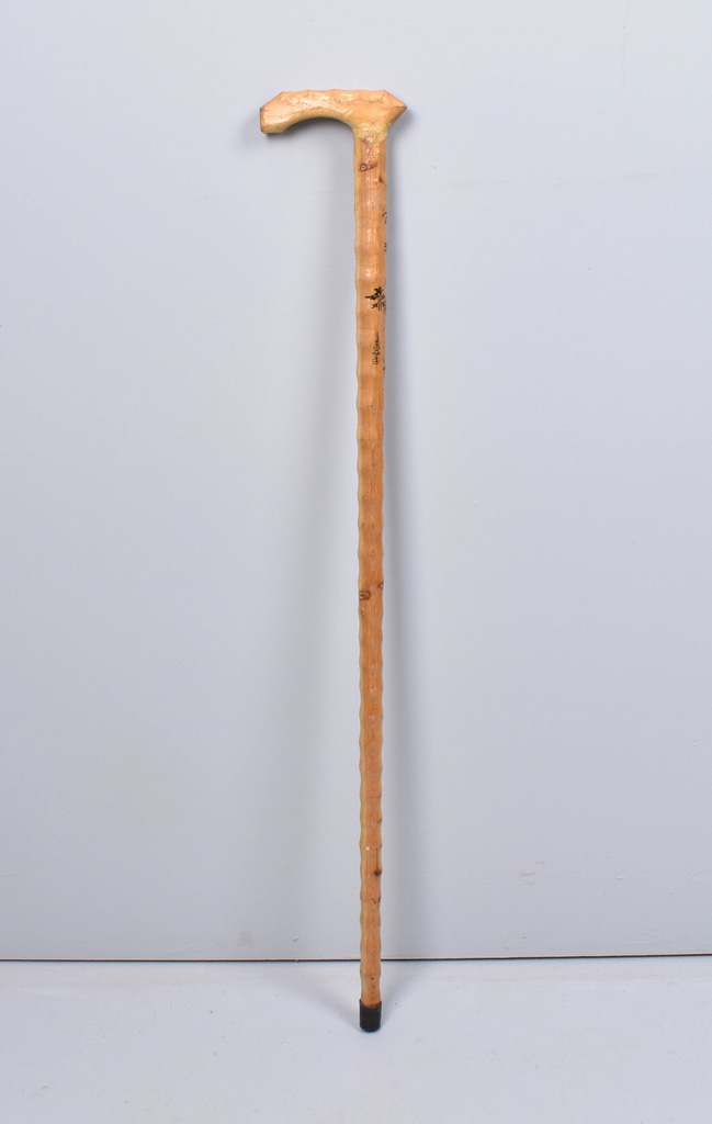 A relevant stock photo of walking stick china in a typical setting.