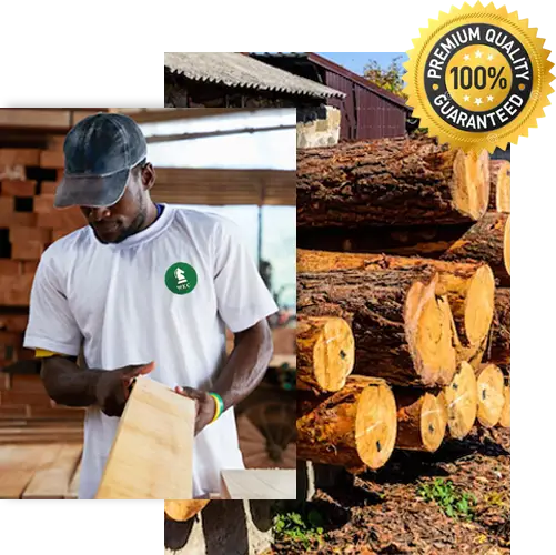 A relevant stock photo of wood working supplier in a typical setting.