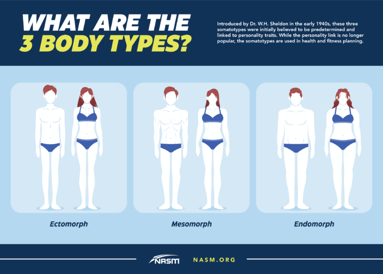 Featured image for body type calculator - Body Types: Mesomorph, Ectomorph ...