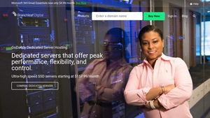 Screenshot of GoDaddy Dedicated Server Hosting - Branchleaf Digital