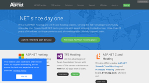 Screenshot of ASP.NET Hosting Experts in .NET, .NET Core, ASP.NET, SQL, MVC ...