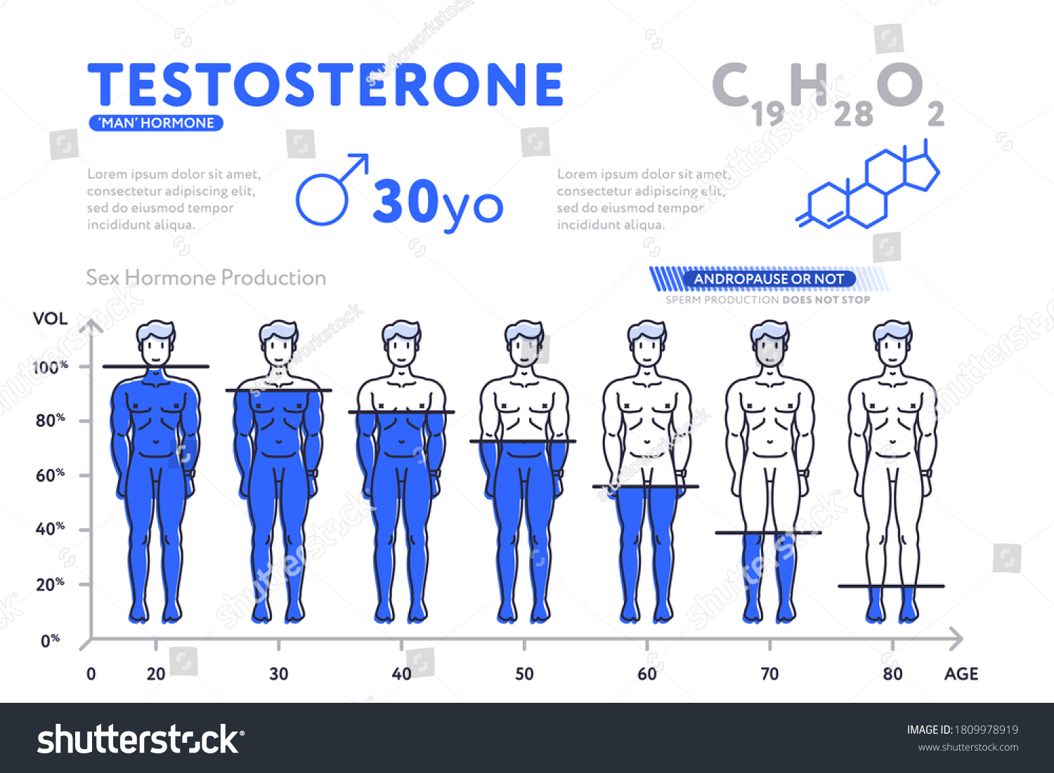 Featured image for free testosterone calculator - Man Testosterone Hormone Levels By Age ...