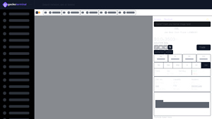 Screenshot of JEWBEAR/SOL - Jew Bear Coin Price on Raydium | GeckoTerminal