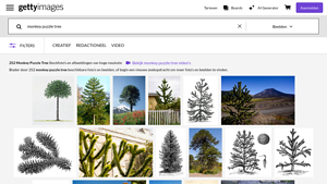 Screenshot of 1148 Monkey Puzzle Tree Stock Photos & High-Res Pictures