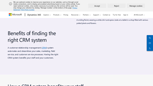 Screenshot of Benefits of Finding the Right CRM System | Microsoft Dynamics 365