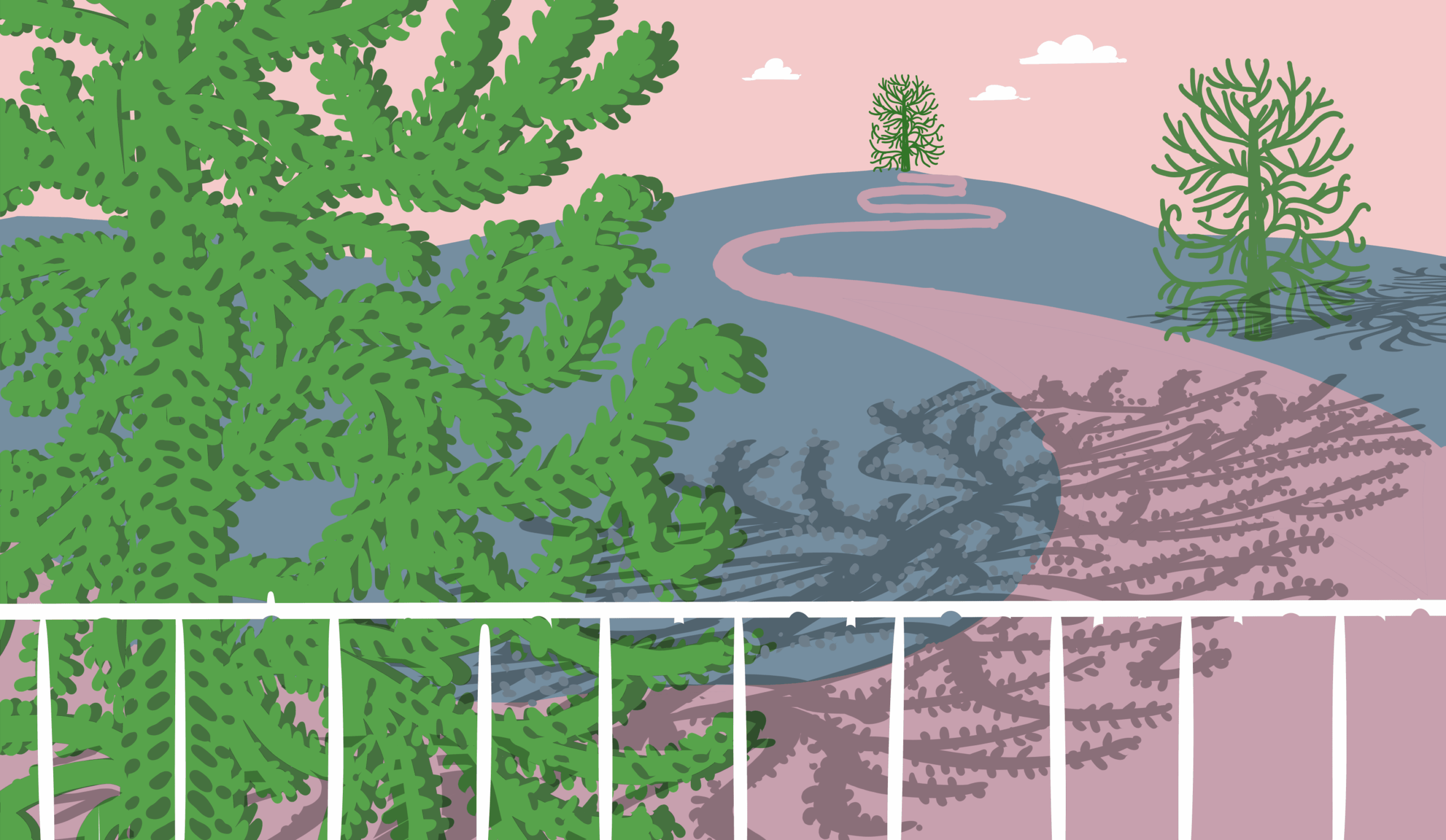 Featured image for monkey puzzle tree araucaria - Curious Case of the Monkey-Puzzle Tree ...