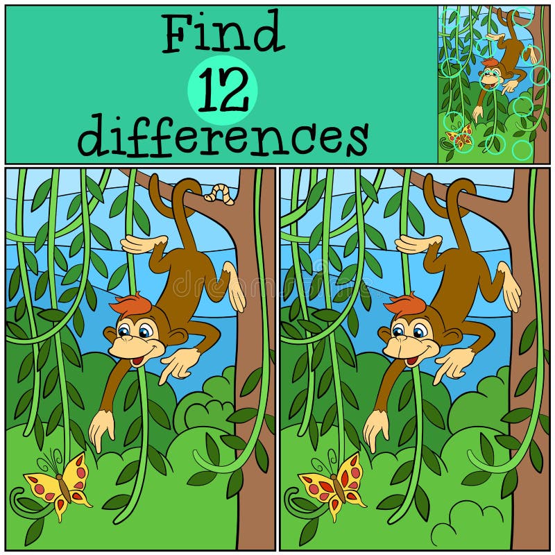 Featured image for monkey puzzle tree - Monkey Puzzle Tree Stock Illustrations ...