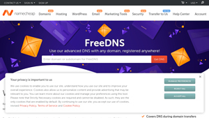 Screenshot of Free DNS Hosting - Best FreeDNS Hosting Server by Namecheap