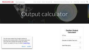 Screenshot of Output calculator - NeoCardio Lab
