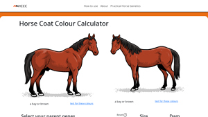Screenshot of Coat Colour Calculator Input - Practical Horse Genetics